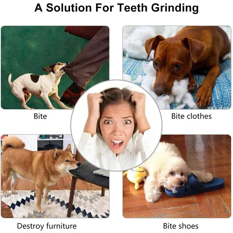 Balle Jouet pour Chien — Distributrice de Friandises & Nettoyage des Dents