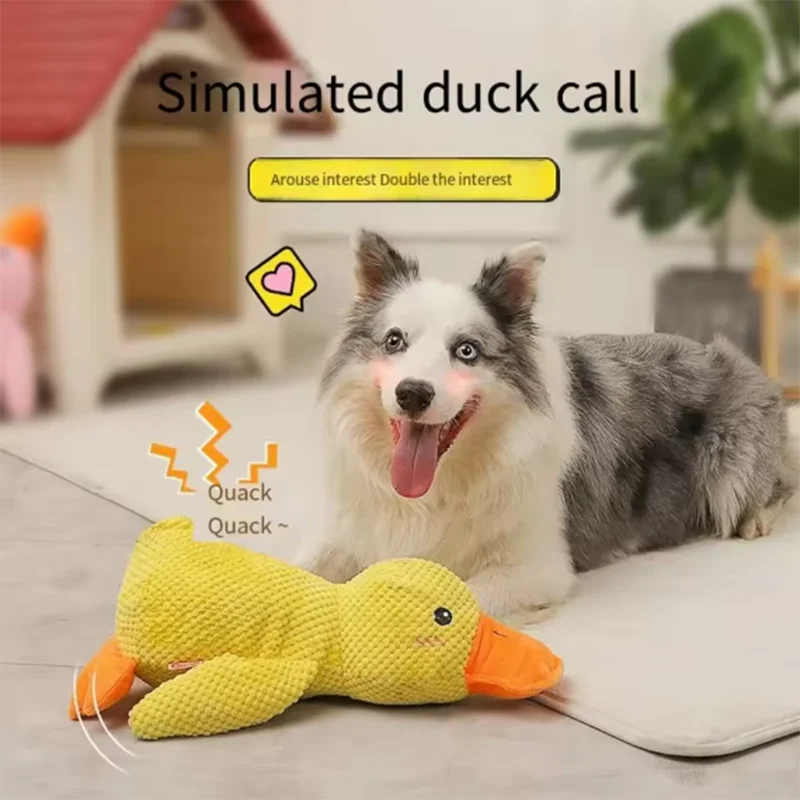 Jouet Peluche Canard pour Chien — Anti-Ennui & Compagnon Doux