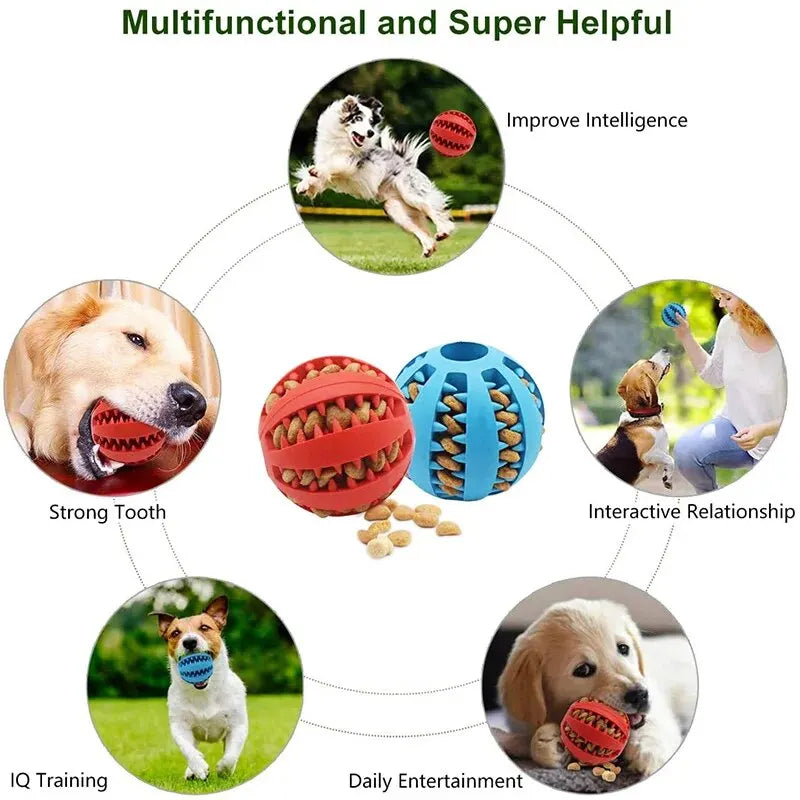 Balle Jouet pour Chien — Distributrice de Friandises & Nettoyage des Dents