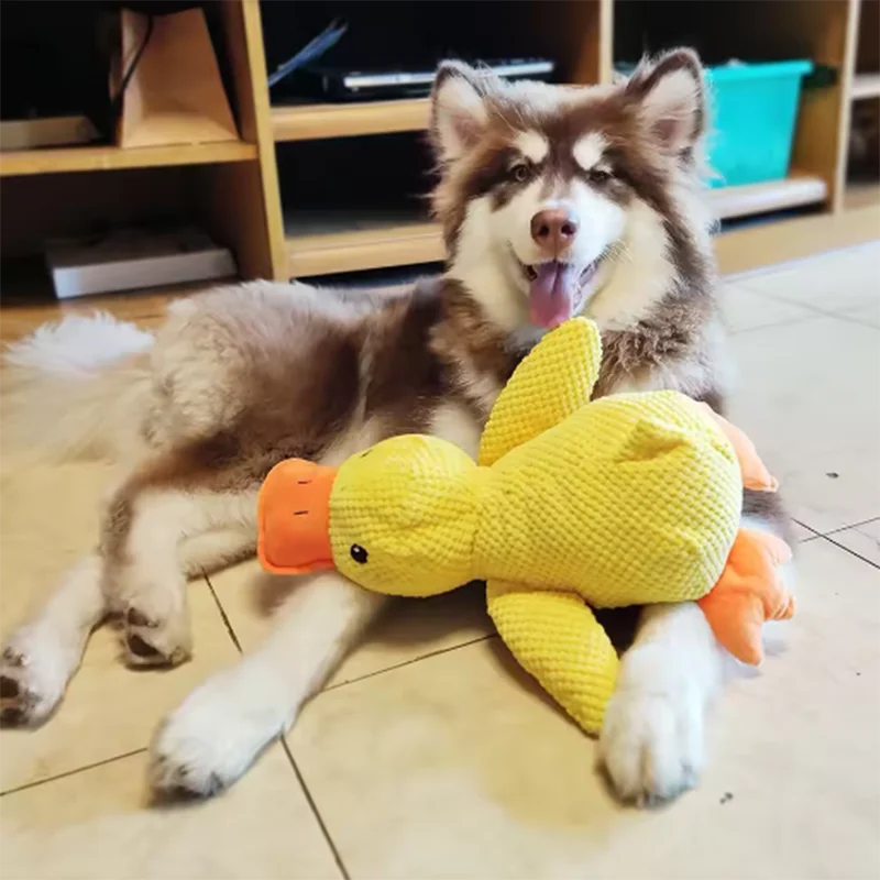 Jouet Peluche Canard pour Chien — Anti-Ennui & Compagnon Doux