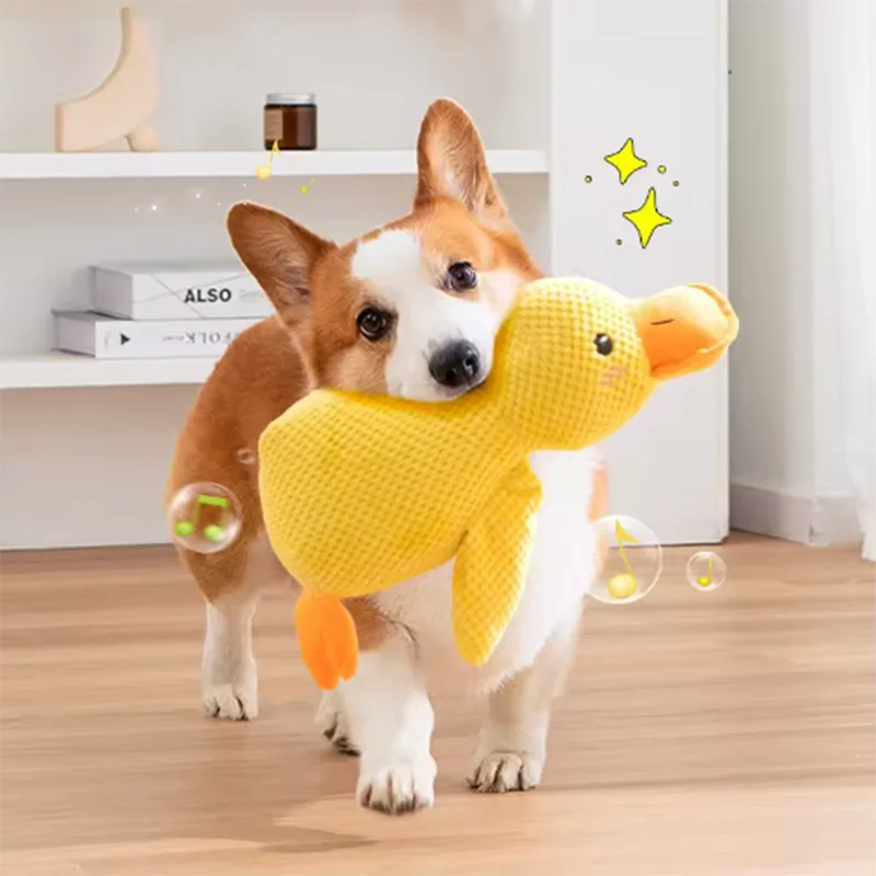 Jouet Peluche Canard pour Chien — Anti-Ennui & Compagnon Doux