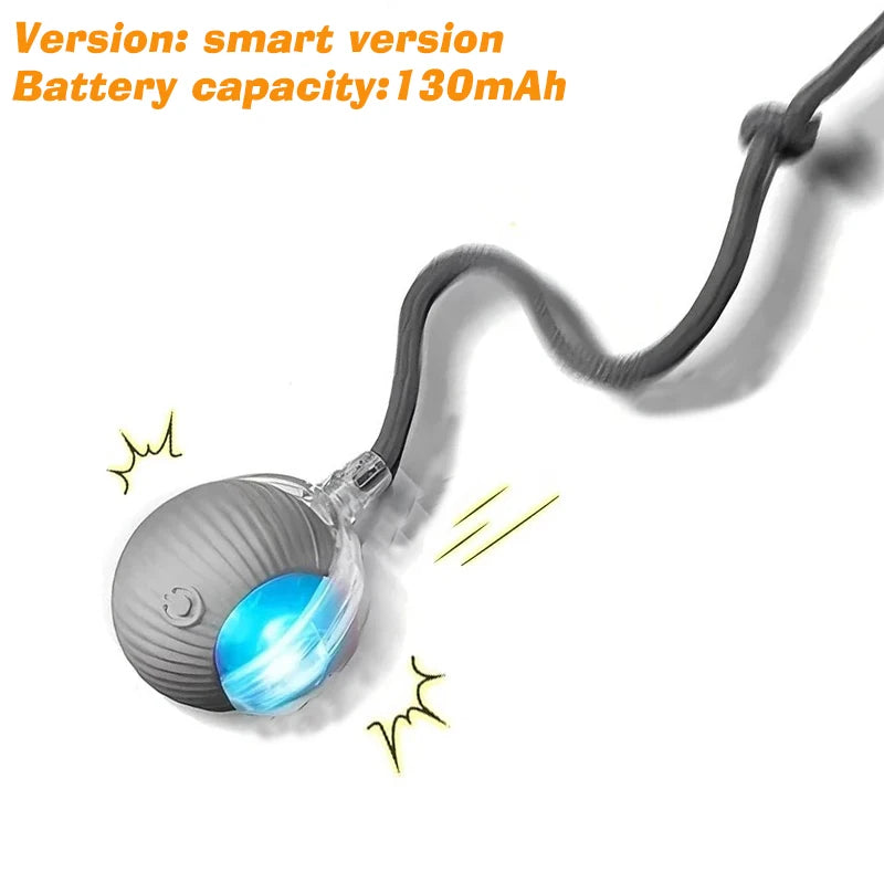 Balle Interactive Automatique pour Chien — Rechargeable USB