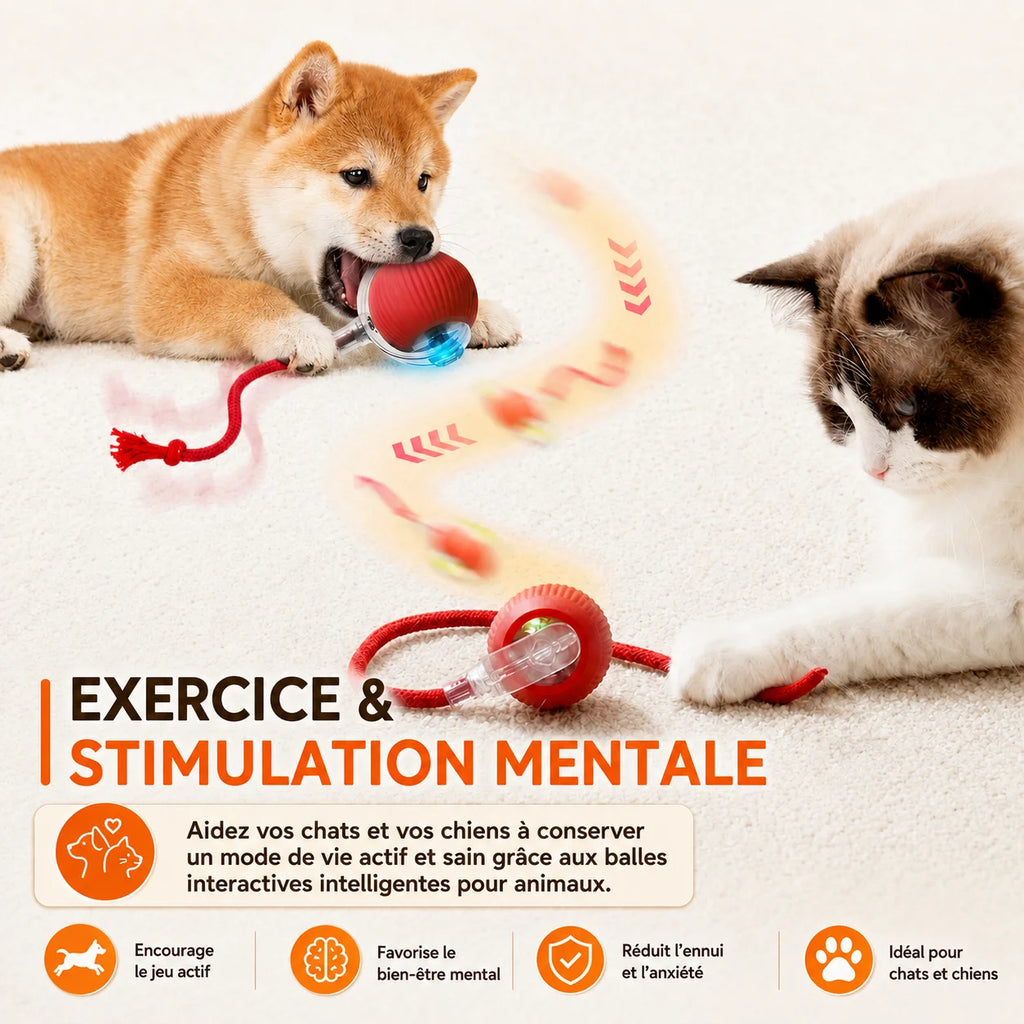 Balle Interactive Automatique pour Chien — Rechargeable USB