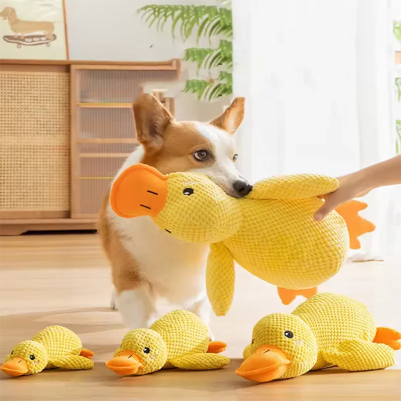 Jouet Peluche Canard pour Chien — Anti-Ennui & Compagnon Doux