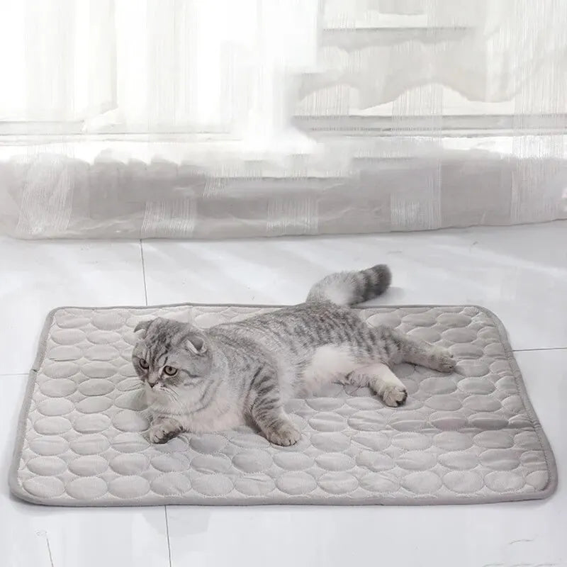 Tapis Rafraîchissant pour Chat et Chien — Coussin de Glace Anti-Chaleur