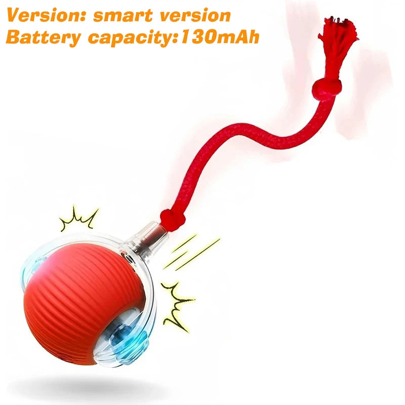 Balle Interactive Automatique pour Chien — Rechargeable USB