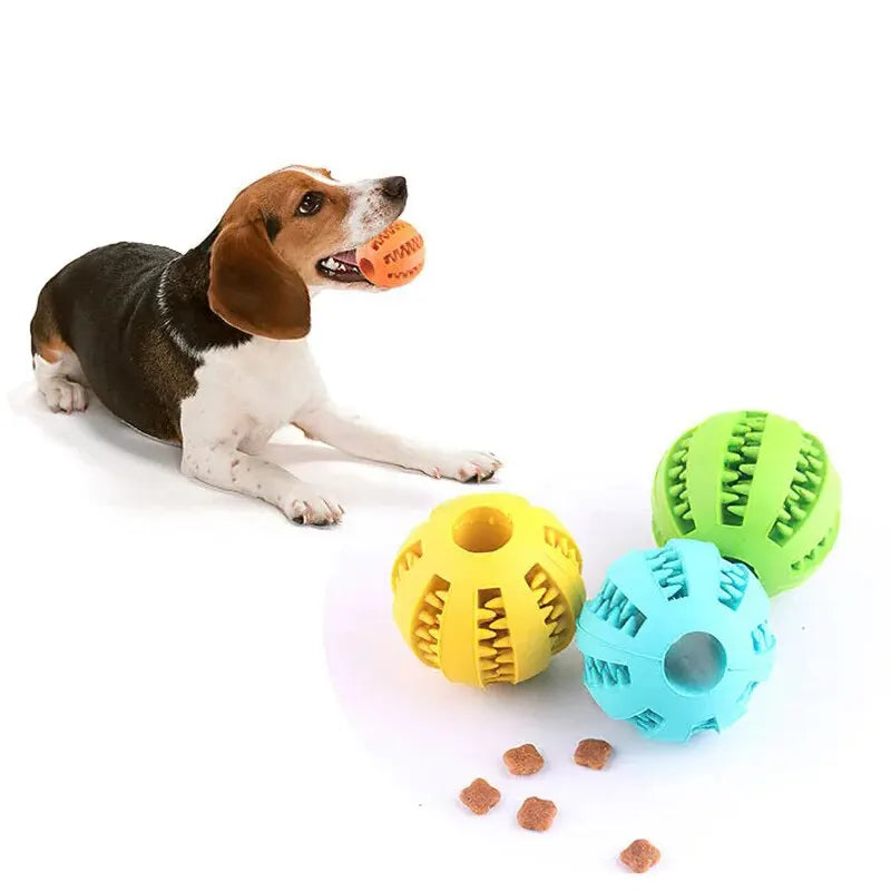 Balle Jouet pour Chien — Distributrice de Friandises & Nettoyage des Dents