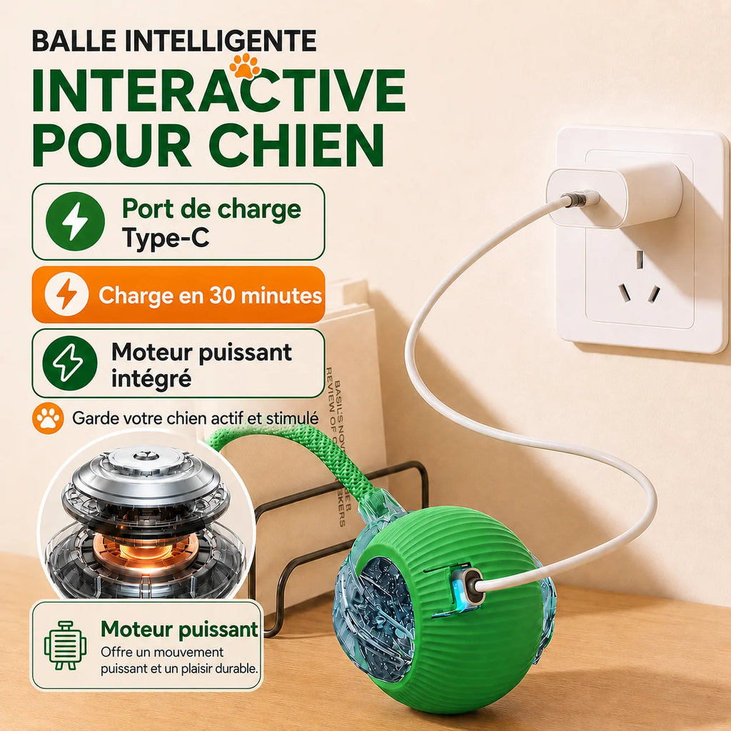 Balle Interactive Automatique pour Chien — Rechargeable USB