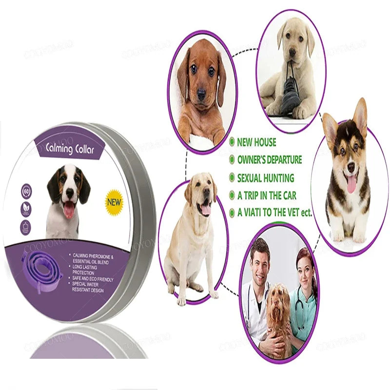 Collier Apaisant aux Phéromones pour Chien et Chat — Réducteur d'Anxiété