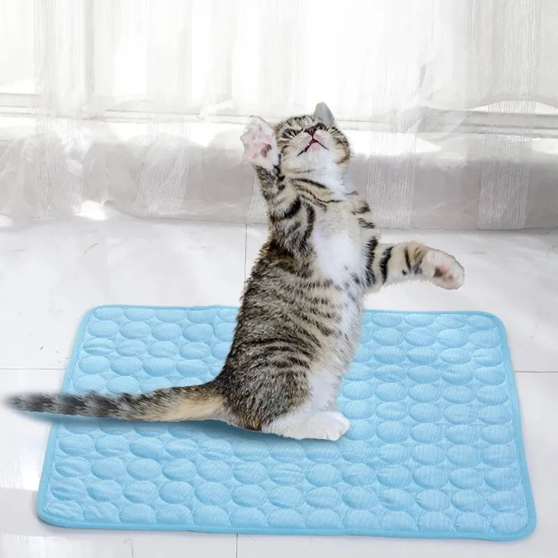 Tapis Rafraîchissant pour Chat et Chien — Coussin de Glace Anti-Chaleur