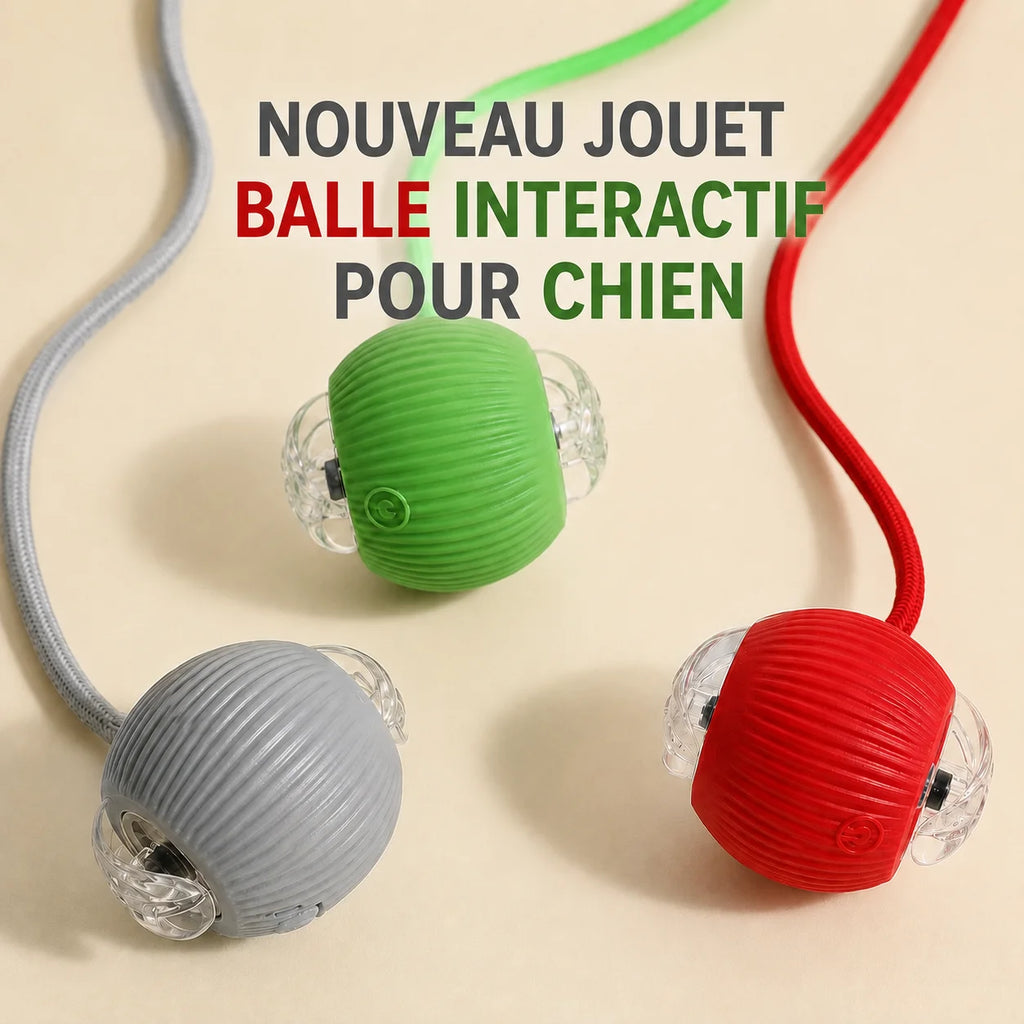 Balle Interactive Automatique pour Chien — Rechargeable USB